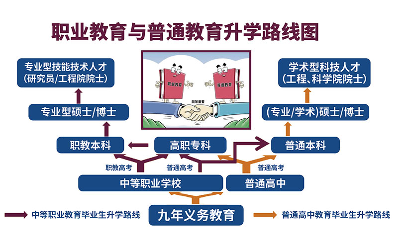 升学路线